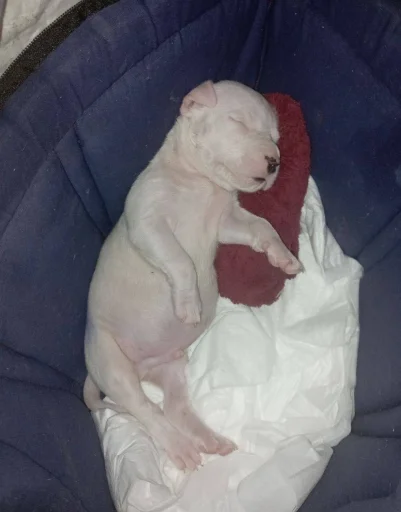 Стикер FDPFDSPFSDF - 1