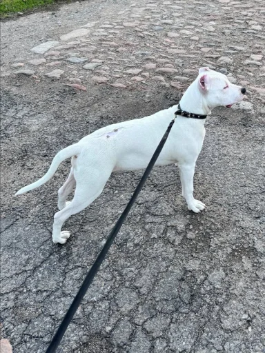 Sticker FDPFDSPFSDF - 1