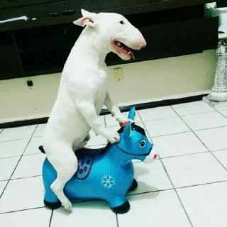 Стикер буч - 10