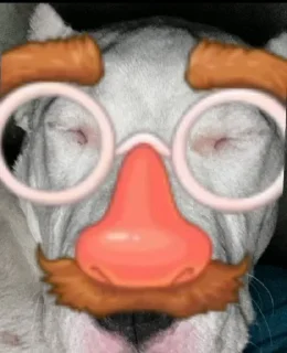 Стикер буч - 4