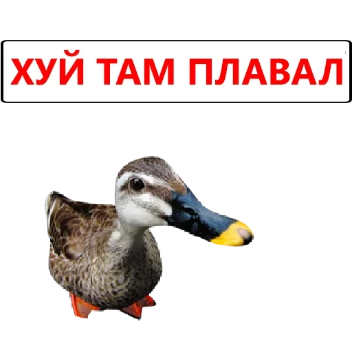 Стикеры тут: @stikeryv - 