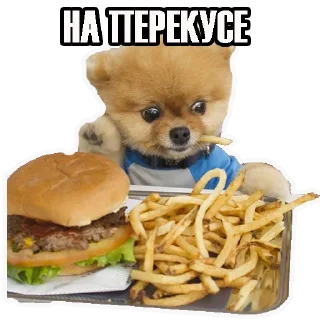 Sticker от Федяти - 0