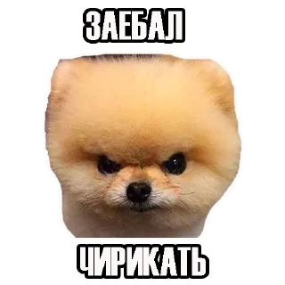 Sticker от Федяти - 9