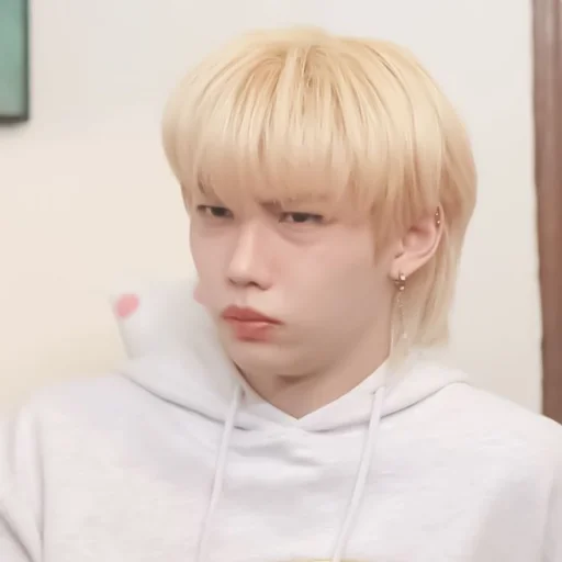 ✧ .˙ felix 🐥 @rissgaridi - 