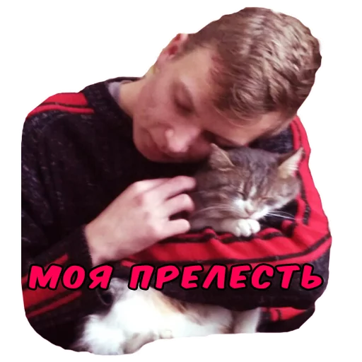 person small to medium-sized cats felidae