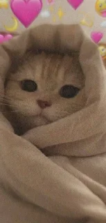 Sticker Мой стикерпак, сделан в @moyi_stikery_bot - 11