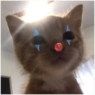 Sticker Больше стиков тут: @stikeryk - 2