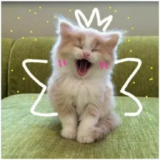 Sticker Больше стиков тут: @stikeryk - 7