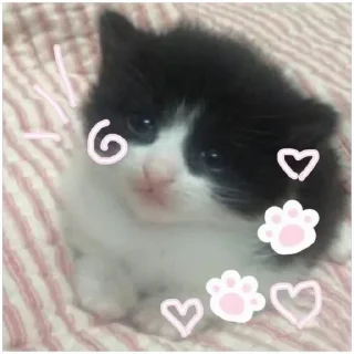 Sticker Больше стиков тут: @stikeryk - 6