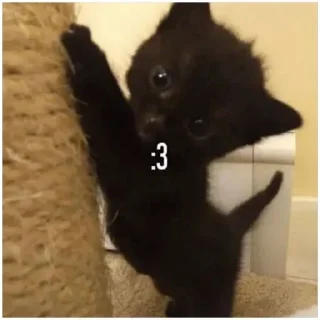 Sticker Больше стиков тут: @stikeryk - 5