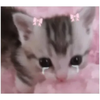 Sticker Больше стиков тут: @stikeryk - 9