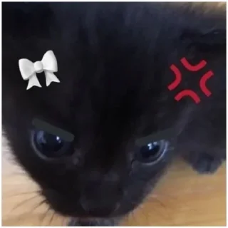 Sticker Больше стиков тут: @stikeryk - 8