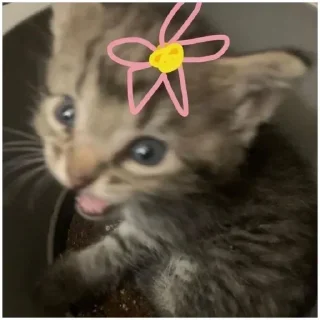 Sticker Больше стиков тут: @stikeryk - 11