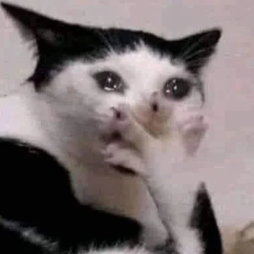 Стикер Стики 5303 из @Anonymnyi_chat_bot - 7