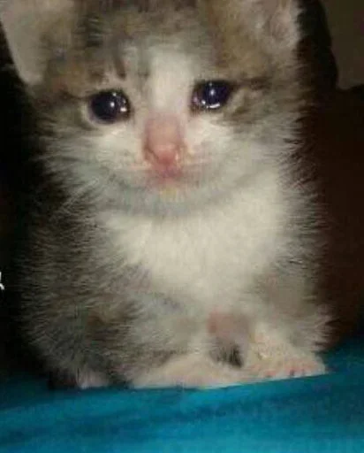 Стикер Стики 5303 из @Anonymnyi_chat_bot - 3