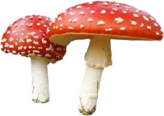 Sticker @stickeri_tg 💋<-- стикеры тут - 11