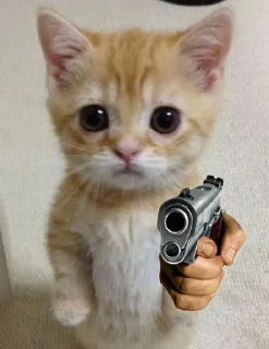 Sticker Больше стикеров: @sticerru - 9