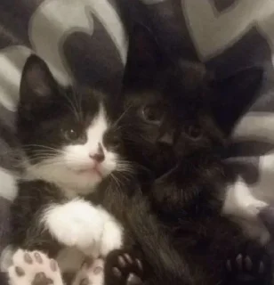 Sticker Больше стикеров: @sticerru - 1