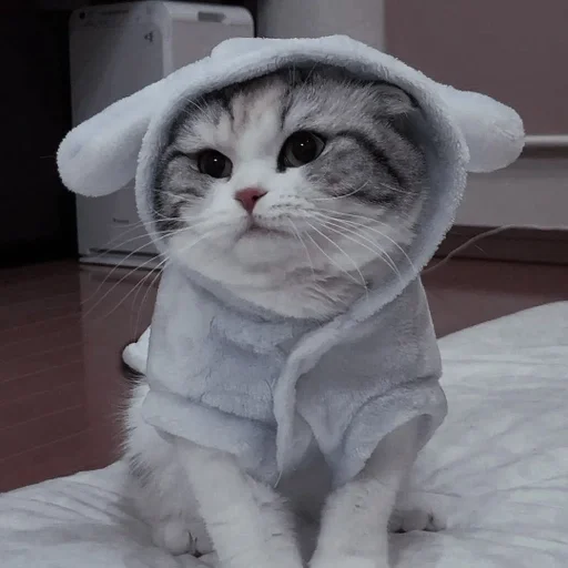 Sticker FIREFLY_KINGDOM_by_fStikBot - 1