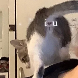 Стикер Больше стикеров: @sticerru - 6