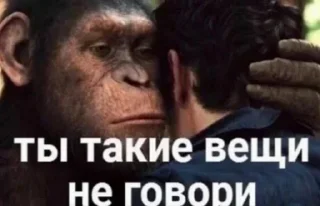 Стикер Создай свои стикеры - @sozdsti_bot - 0