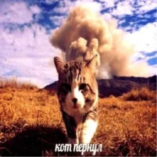 Стикер Больше стикеров: @sticerru - 3