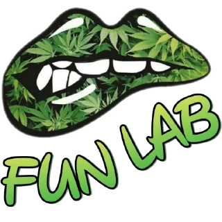 Sticker FunLab have fun - 9
