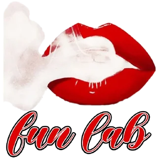 Sticker FunLab have fun - 10