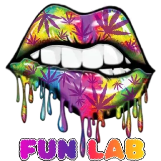 Sticker FunLab have fun - 8
