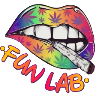 Sticker FunLab have fun - 11