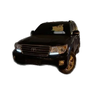 Sticker Vache Miskaryan - 9