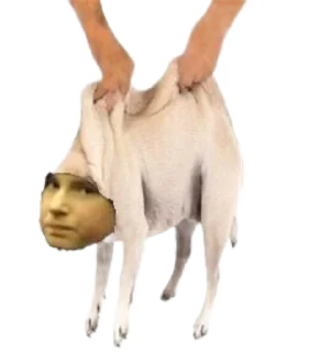 Стикер 11A ФМ - 9