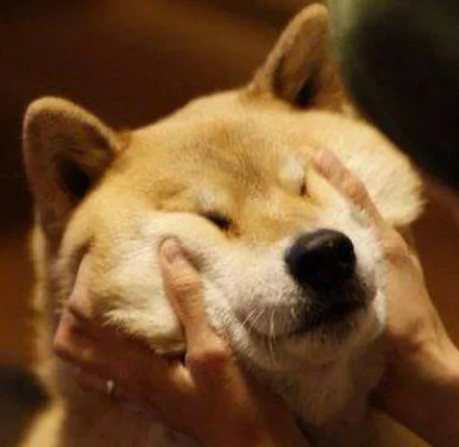 Sticker FNfkvKsZku_by_WmojiBot - 1