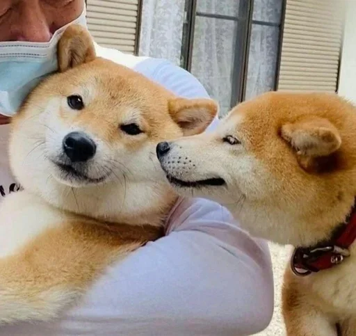 Sticker FNfkvKsZku_by_WmojiBot - 1