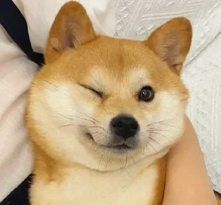 Sticker Стикеры тут 👉 @Femoji - 2