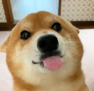 Sticker Стикеры тут 👉 @Femoji - 7