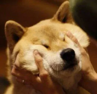 Sticker Стикеры тут 👉 @Femoji - 9