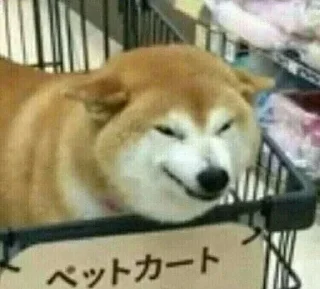 Sticker Стикеры тут 👉 @Femoji - 11