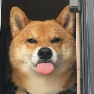 Sticker Стикеры тут 👉 @Femoji - 10