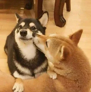 Sticker Стикеры тут 👉 @Femoji - 6