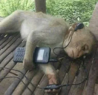 Sticker Больше стиков тут: @stikery4 - 11