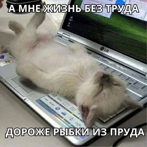 Sticker FShTiowmpQrTvBHL_by_stickers_stealer_bot - 1