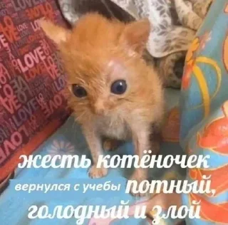 Sticker Больше стикеров 👉🏻 @stickertg4 - 4