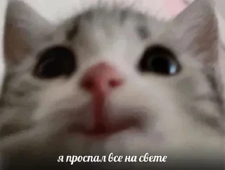 Sticker Больше стикеров 👉🏻 @stickertg4 - 6