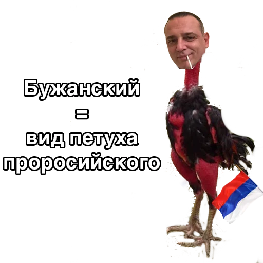 Стикер #ШарийПетух ?? - 10