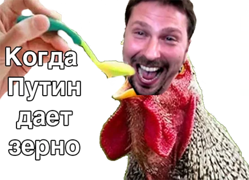 Стикер #ШарийПетух ?? - 6