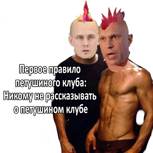 Стикер #ШарийПетух ?? - 5