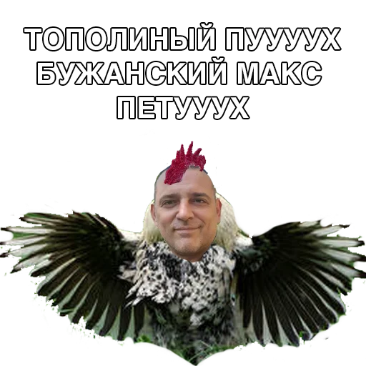 Стикер #ШарийПетух ?? - 3
