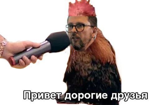 Стикер #ШарийПетух ?? - 0