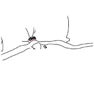 Sticker {<<FUNNY CAT 2>>} - 1